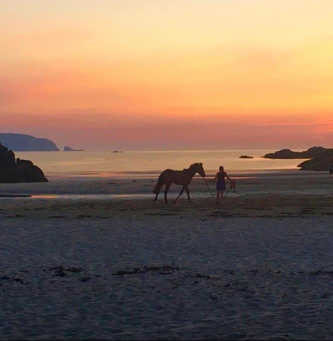 Burtonport Traditional Donegal House On The Wild Atlantic Wayヴィラ エクステリア 写真